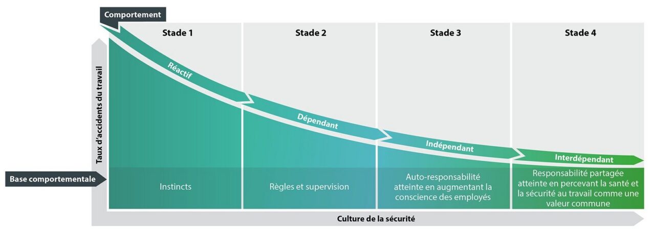 La courbe de Bradley