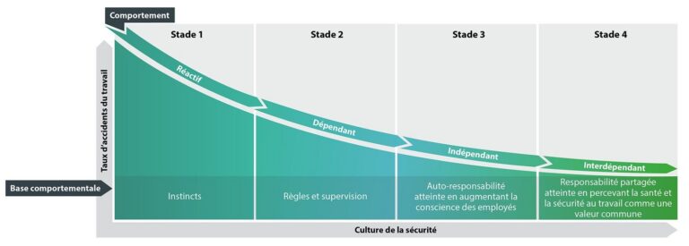 La courbe de Bradley